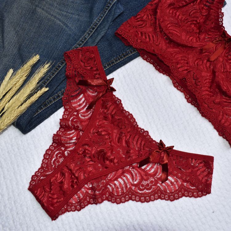 Conjunto de Lingerie Sem Bojo Com Aro Renda Luxo